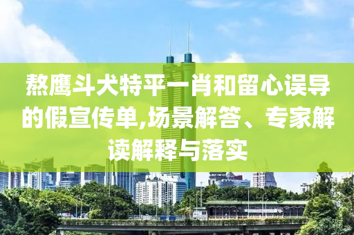 熬鷹斗犬特平一肖和留心誤導(dǎo)的假宣傳單,場景解答、專家解讀解釋與落實(shí)